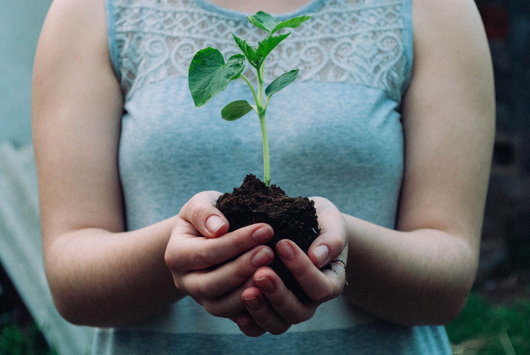 Launching a Profitable Green-Building Business